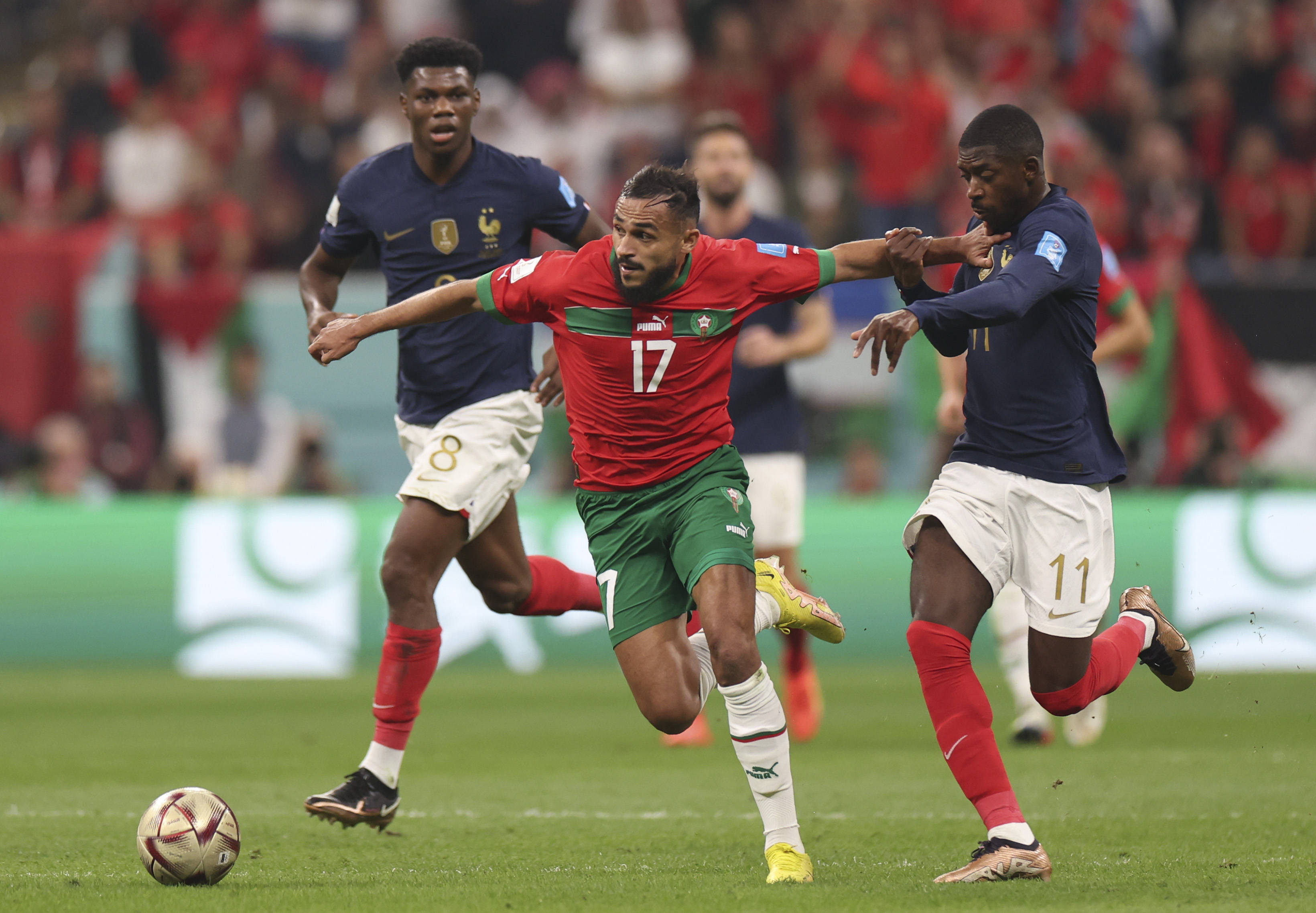 了强有力的 了强有力的