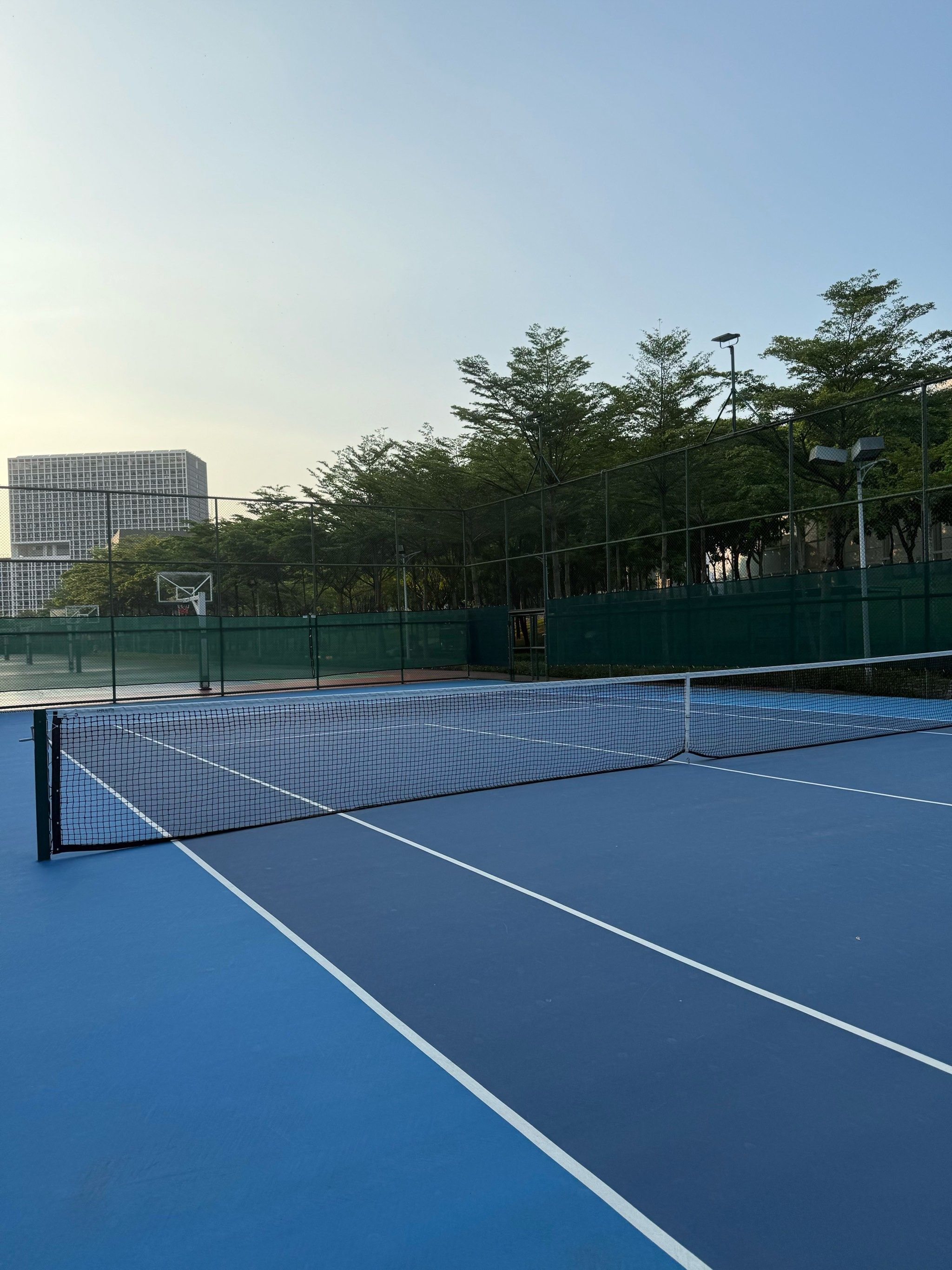 亚冬会正如 亚冬会正如